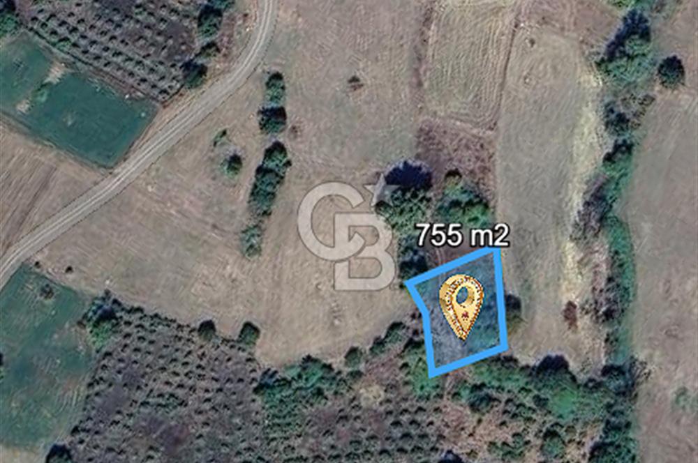 MUDURNU GÖKÖREN DE KÖY İÇİ KONUMDA YATIRIMLIK TARLA