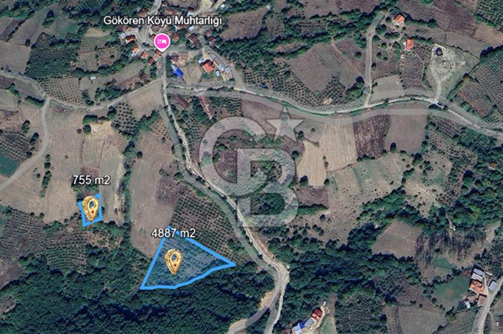 MUDURNU GÖKÖREN DE KÖY İÇİ KONUMDA YATIRIMLIK TARLA