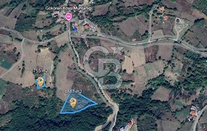 MUDURNU GÖKÖREN DE KÖY İÇİ KONUMDA YATIRIMLIK TARLA