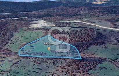 ÇANAKKALE DEDELER KÖYÜNDE ENERJİ YATIRIMINA UYGUN 8.827M² ARAZİ