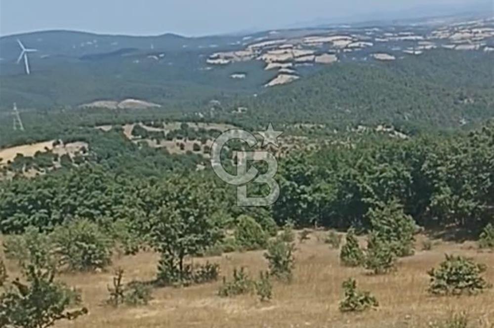 ÇANAKKALE DEDELER KÖYÜNDE ENERJİ YATIRIMINA UYGUN 8.827M² ARAZİ