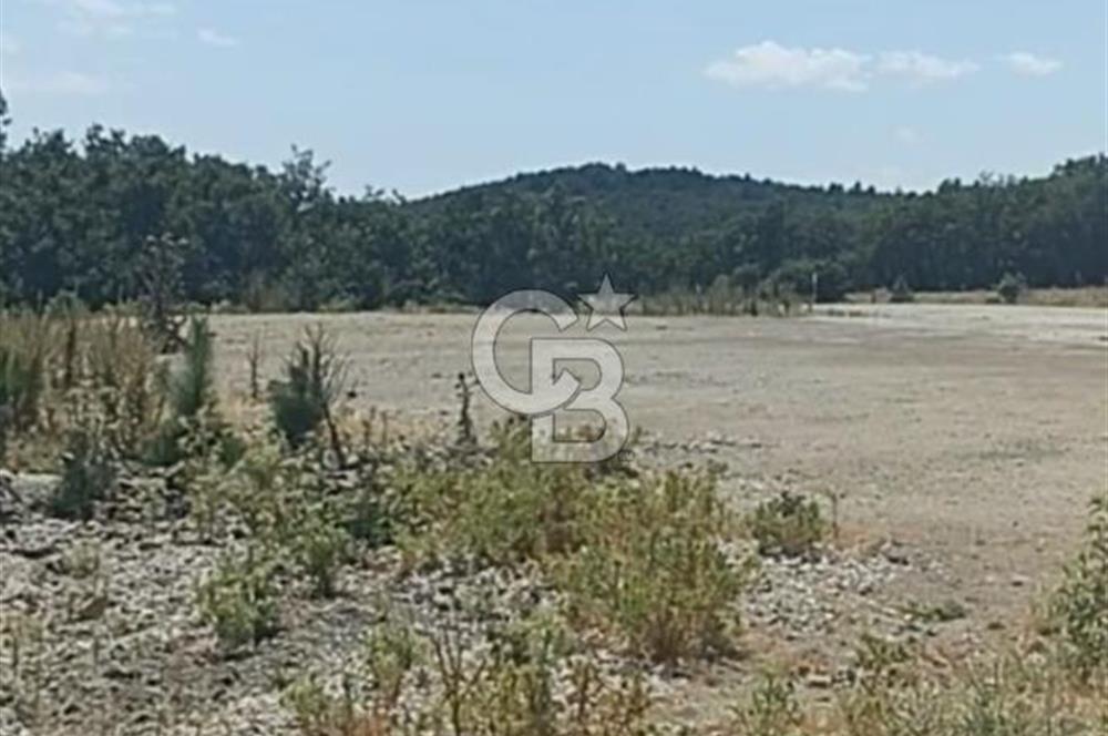 ÇANAKKALE DEDELER KÖYÜNDE ENERJİ YATIRIMINA UYGUN 8.827M² ARAZİ