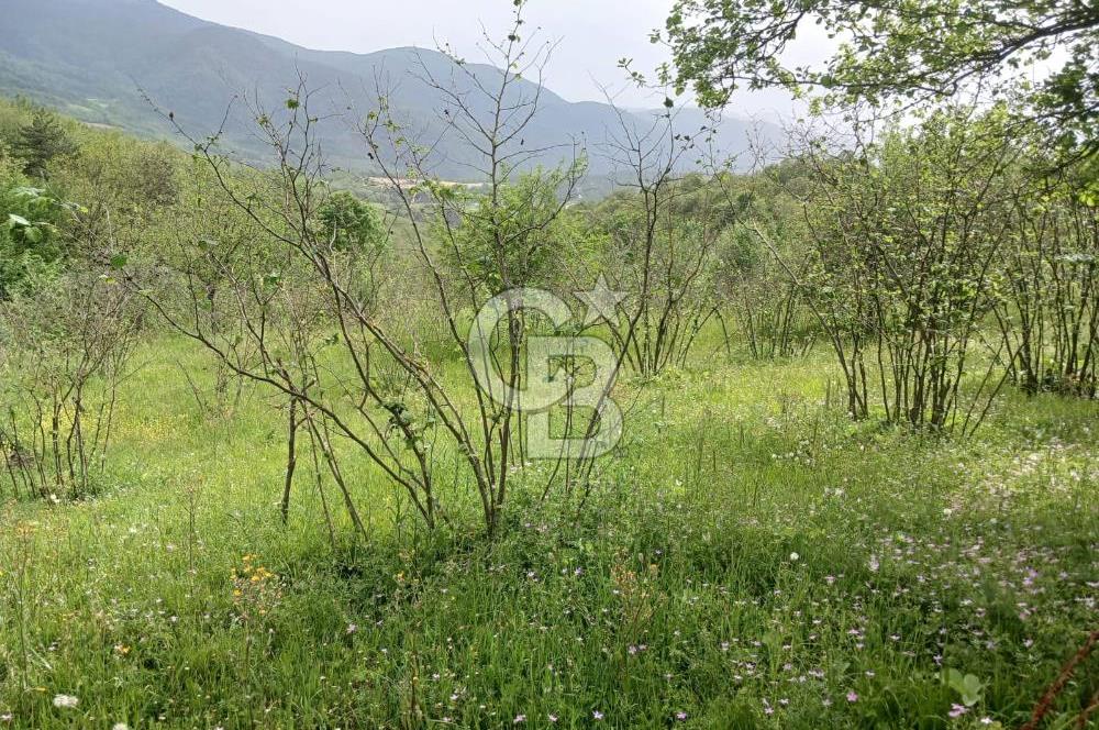 MUDURNU GÖKÖREN DE KÖY İÇİ 4887 M2 TARLA