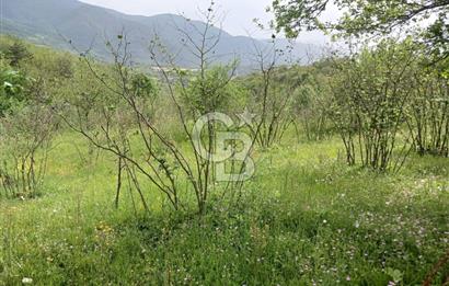 MUDURNU GÖKÖREN DE KÖY İÇİ 4887 M2 TARLA