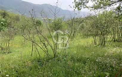 MUDURNU GÖKÖREN DE KÖY İÇİ 4887 M2 TARLA