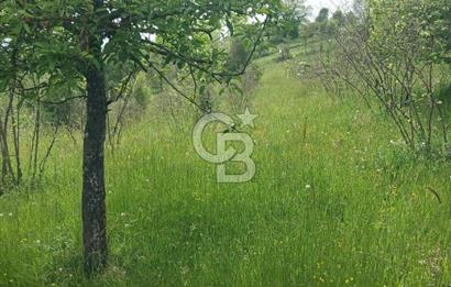 MUDURNU GÖKÖREN DE KÖY İÇİ 4887 M2 TARLA