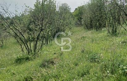 MUDURNU GÖKÖREN DE KÖY İÇİ 4887 M2 TARLA