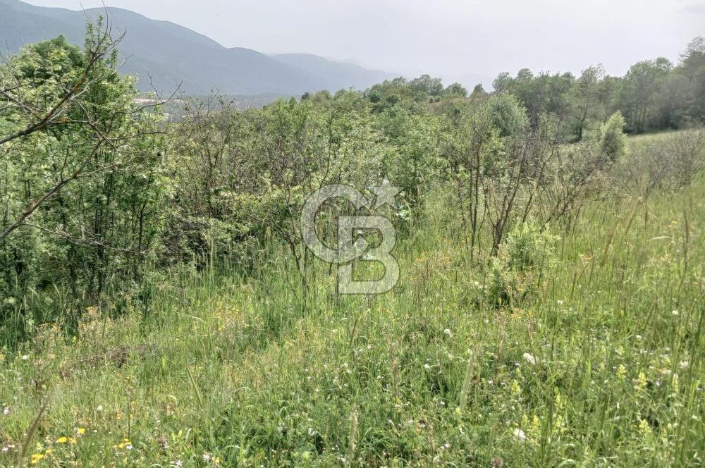 MUDURNU GÖKÖREN DE KÖY İÇİ 4887 M2 TARLA