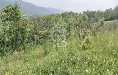 MUDURNU GÖKÖREN DE KÖY İÇİ 4887 M2 TARLA