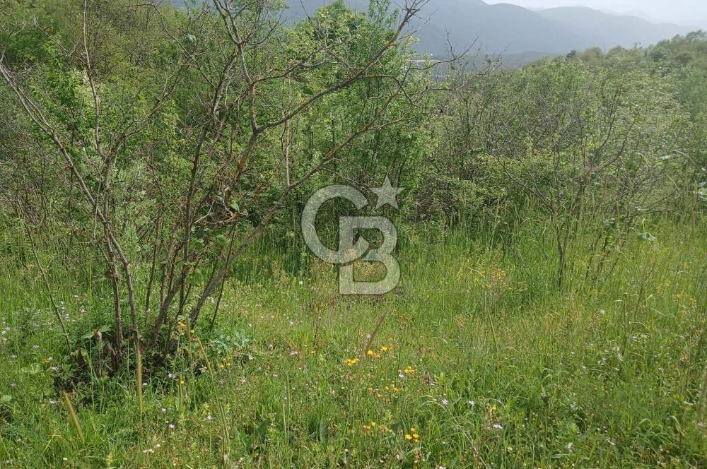 MUDURNU GÖKÖREN DE KÖY İÇİ 4887 M2 TARLA