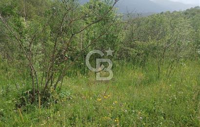 MUDURNU GÖKÖREN DE KÖY İÇİ 4887 M2 TARLA