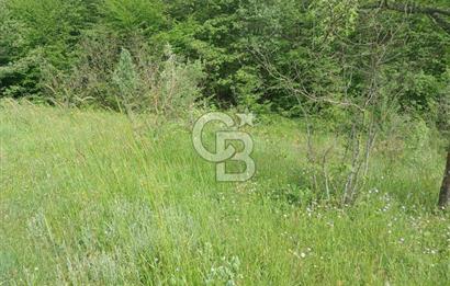 MUDURNU GÖKÖREN DE KÖY İÇİ 4887 M2 TARLA