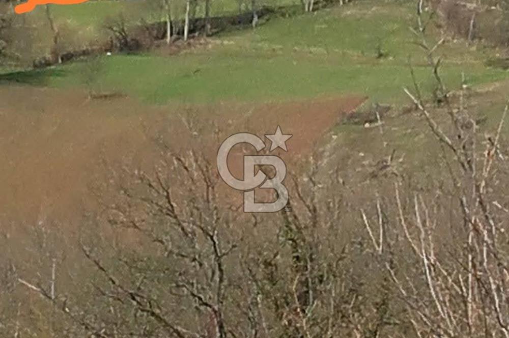 MUDURNU GÖKÖREN DE KÖY İÇİ KONUMDA YATIRIMLIK TARLA