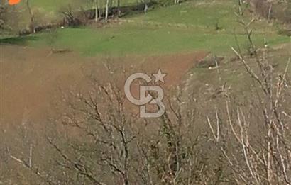 MUDURNU GÖKÖREN DE KÖY İÇİ KONUMDA YATIRIMLIK TARLA