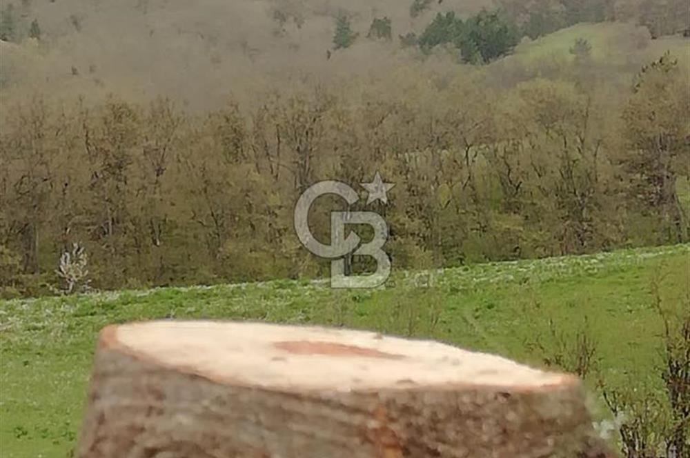 MUDURNU GÖKÖREN DE KÖY İÇİ KONUMDA YATIRIMLIK TARLA