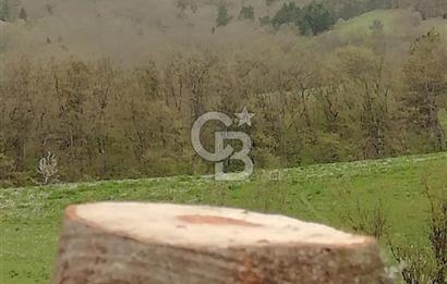 MUDURNU GÖKÖREN DE KÖY İÇİ KONUMDA YATIRIMLIK TARLA