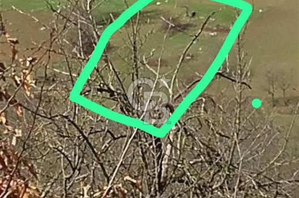 MUDURNU GÖKÖREN DE KÖY İÇİ KONUMDA YATIRIMLIK TARLA