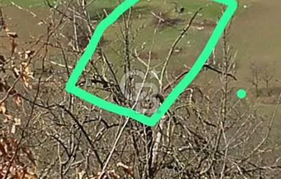 MUDURNU GÖKÖREN DE KÖY İÇİ KONUMDA YATIRIMLIK TARLA