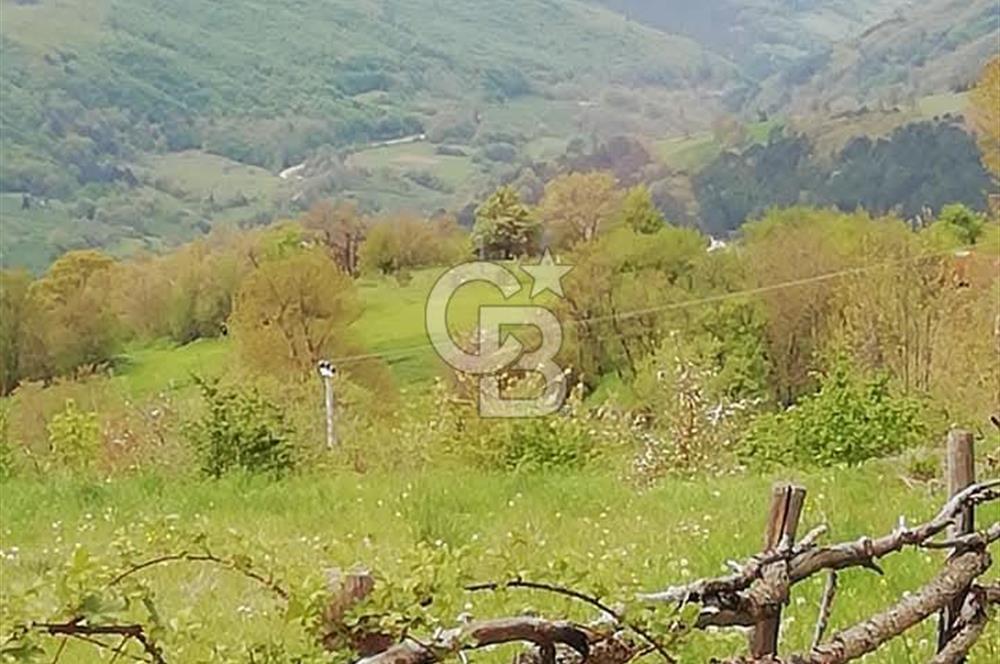MUDURNU GÖKÖREN DE KÖY İÇİ KONUMDA YATIRIMLIK TARLA