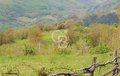 MUDURNU GÖKÖREN DE KÖY İÇİ KONUMDA YATIRIMLIK TARLA