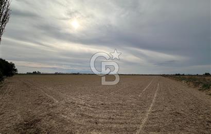 SASALI YAKINI MENEMEN TUZÇULLU SATILIK 21 DÖNÜM TARLA