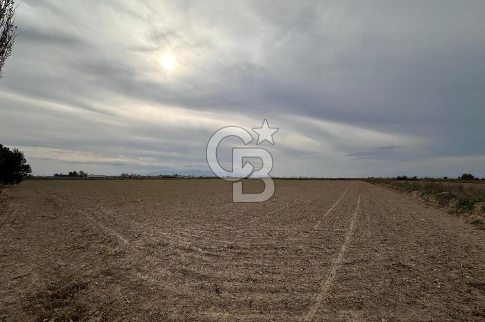 SASALI YAKINI MENEMEN TUZÇULLU SATILIK 21 DÖNÜM TARLA