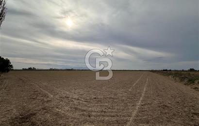 SASALI YAKINI MENEMEN TUZÇULLU SATILIK 21 DÖNÜM TARLA