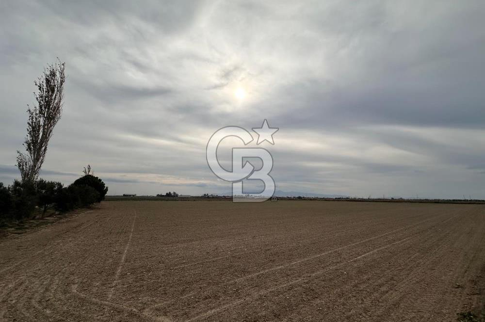 SASALI YAKINI MENEMEN TUZÇULLU SATILIK 21 DÖNÜM TARLA