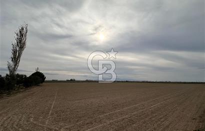 SASALI YAKINI MENEMEN TUZÇULLU SATILIK 21 DÖNÜM TARLA