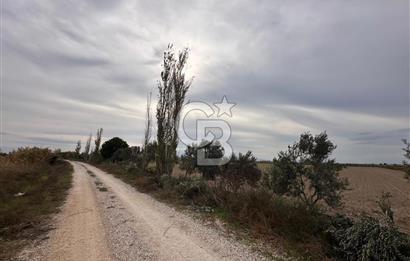 SASALI YAKINI MENEMEN TUZÇULLU SATILIK 21 DÖNÜM TARLA