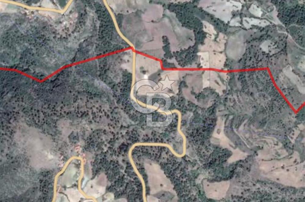 MANİSA AHMETLİ KANLICEVİZ MEVKİİ TEK TAPU SATILIK TARLA