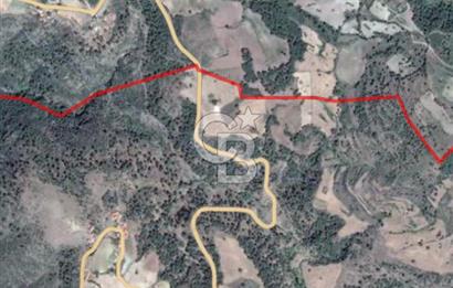 MANİSA AHMETLİ KANLICEVİZ MEVKİİ TEK TAPU SATILIK TARLA