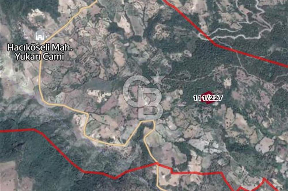 MANİSA AHMETLİ KANLICEVİZ MEVKİİ TEK TAPU SATILIK TARLA