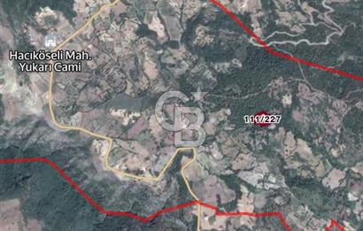 MANİSA AHMETLİ KANLICEVİZ MEVKİİ TEK TAPU SATILIK TARLA