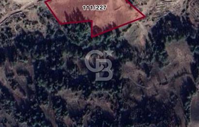 MANİSA AHMETLİ KANLICEVİZ MEVKİİ TEK TAPU SATILIK TARLA