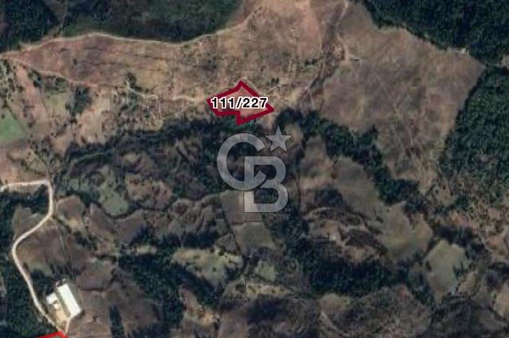 MANİSA AHMETLİ KANLICEVİZ MEVKİİ TEK TAPU SATILIK TARLA