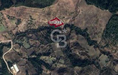 MANİSA AHMETLİ KANLICEVİZ MEVKİİ TEK TAPU SATILIK TARLA