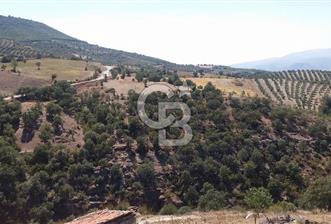 MANİSA AHMETLİ KANLICEVİZ MEVKİİ TEK TAPU SATILIK TARLA - 3 - 320691