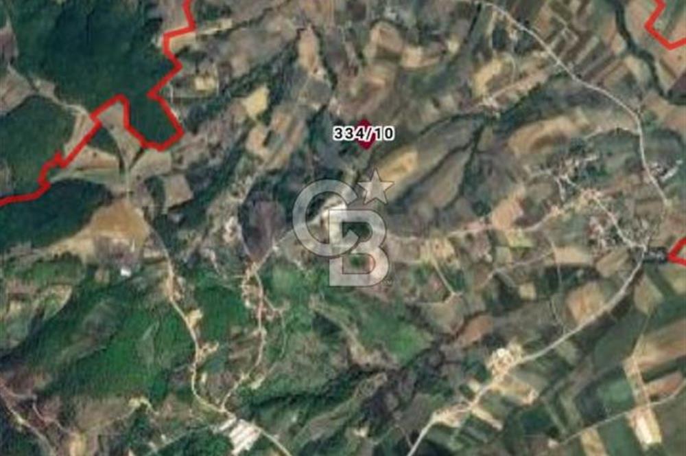 Kocaeli Körfez Himmetli %5 imarlı satılık düzgün 4 dönüm tarla