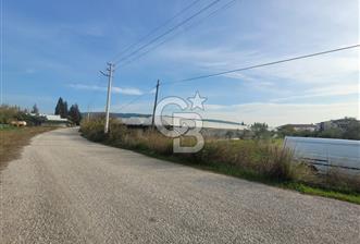 Urla Kuşçular da Satılık Tarla - 8 - 320722