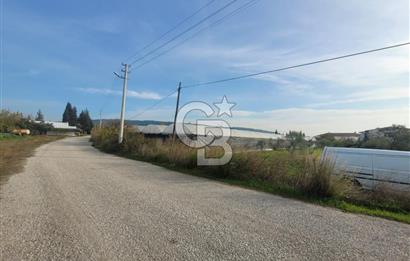 Urla Kuşçular da Satılık Tarla