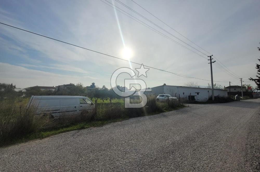 Urla Kuşçular da Satılık Tarla