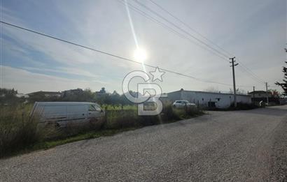 Urla Kuşçular da Satılık Tarla