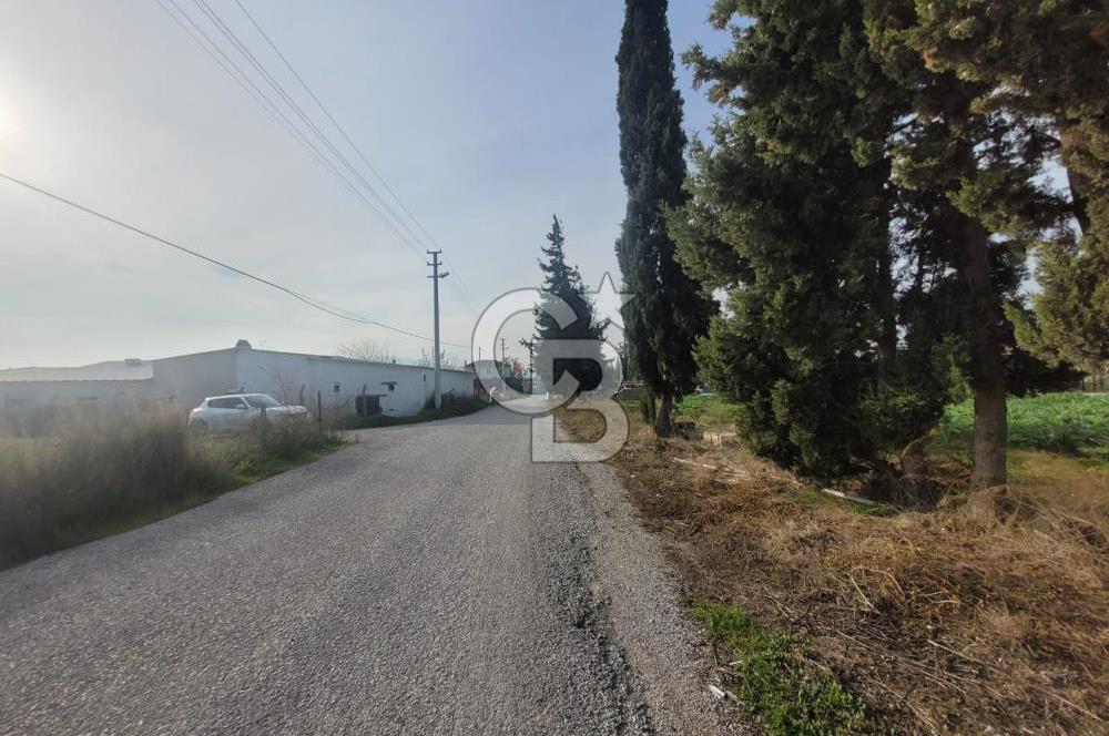 Urla Kuşçular da Satılık Tarla