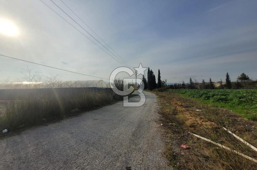 Urla Kuşçular da Satılık Tarla