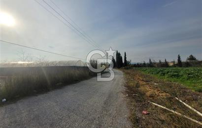 Urla Kuşçular da Satılık Tarla