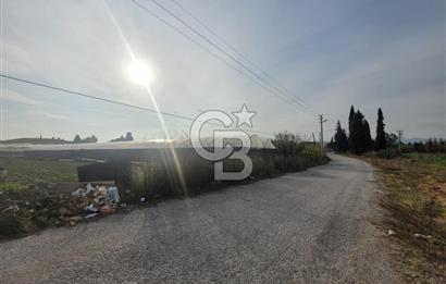 Urla Kuşçular da Satılık Tarla