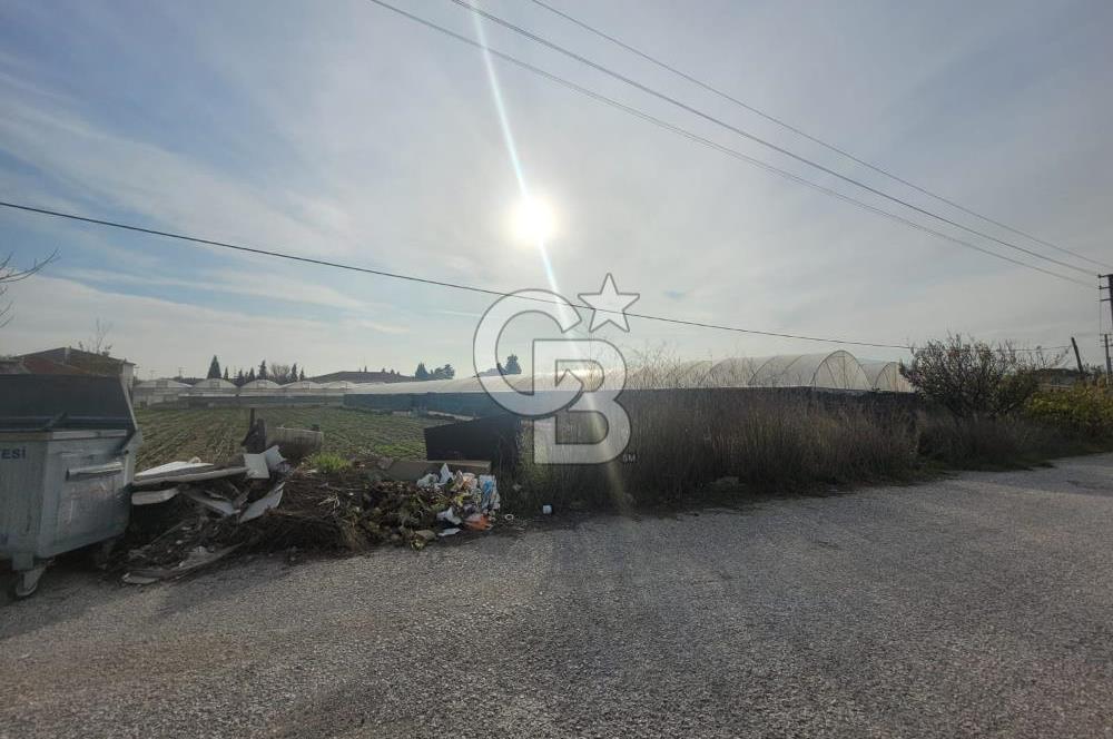 Urla Kuşçular da Satılık Tarla