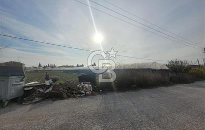 Urla Kuşçular da Satılık Tarla