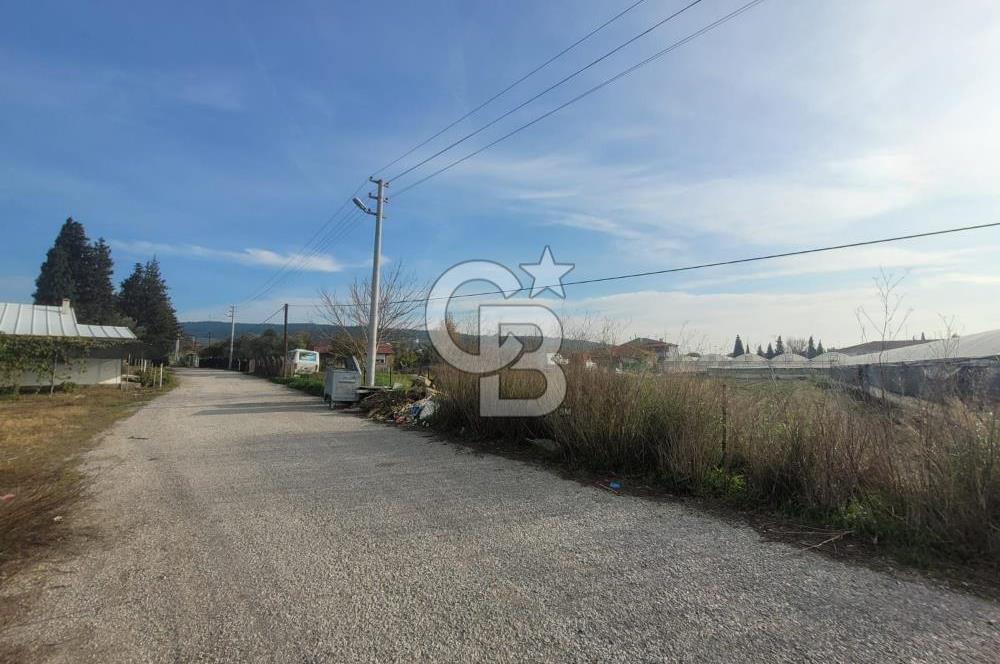 Urla Kuşçular da Satılık Tarla